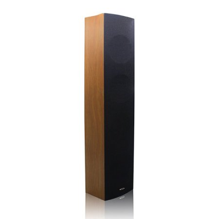 DSP403II Indoor Column Speaker